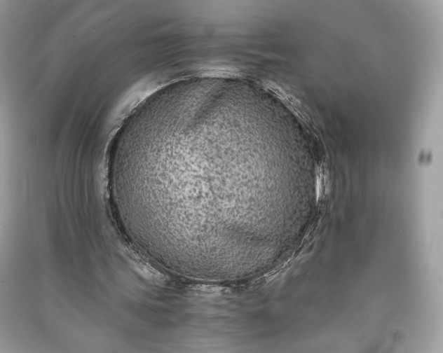 X0000090860339200708101224