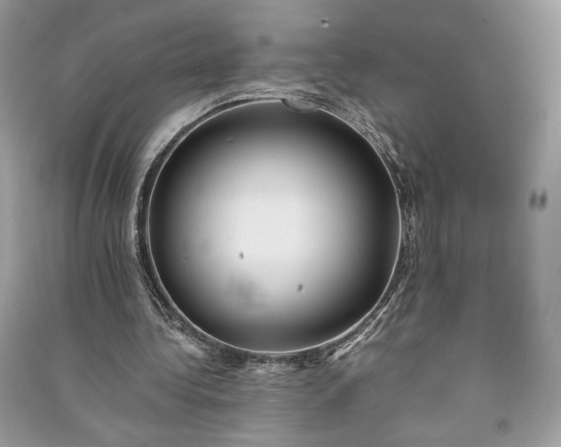 X0000090860340200708101224