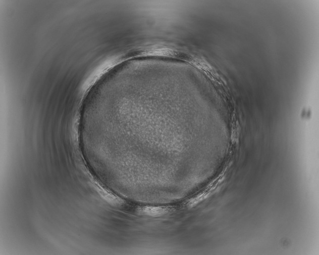 X0000090860341200708101224