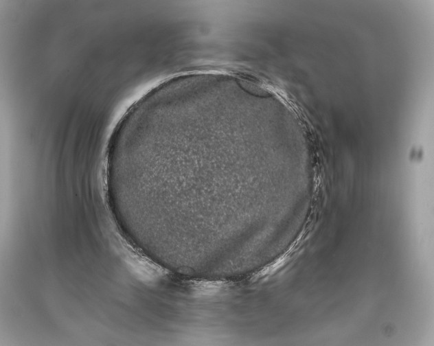 X0000090860342200708101224