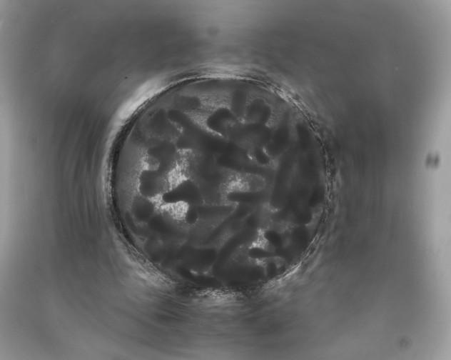 X0000090860343200708101224