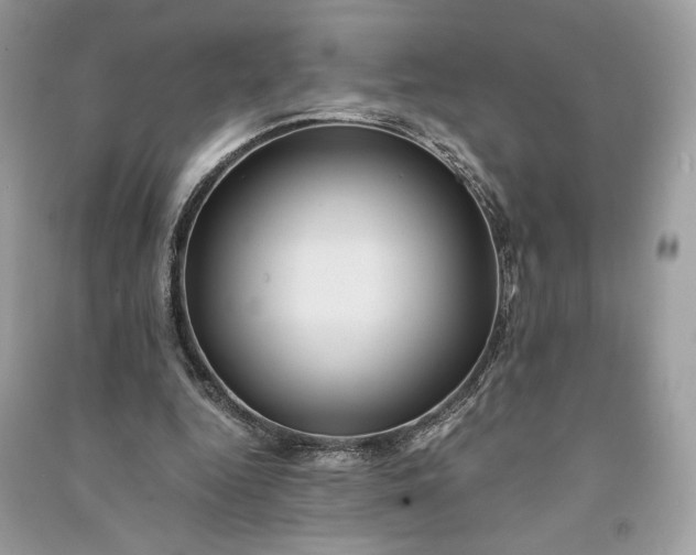 X0000090860344200708101224