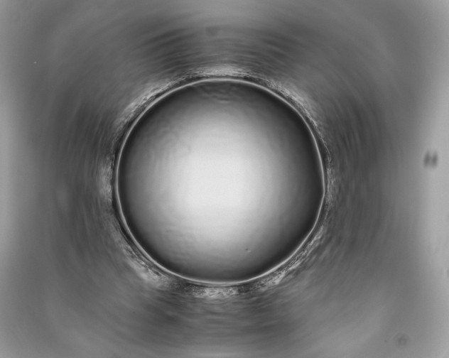 X0000090860345200708101224