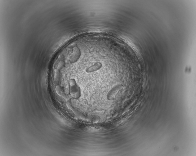 X0000090860346200708101224