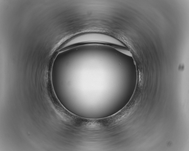 X0000090860348200708101224