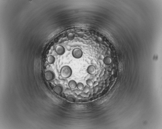 X0000090860349200708101224