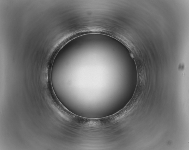 X0000090860350200708101224