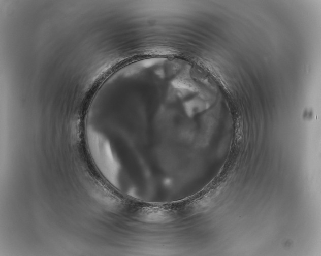 X0000090860351200708101224