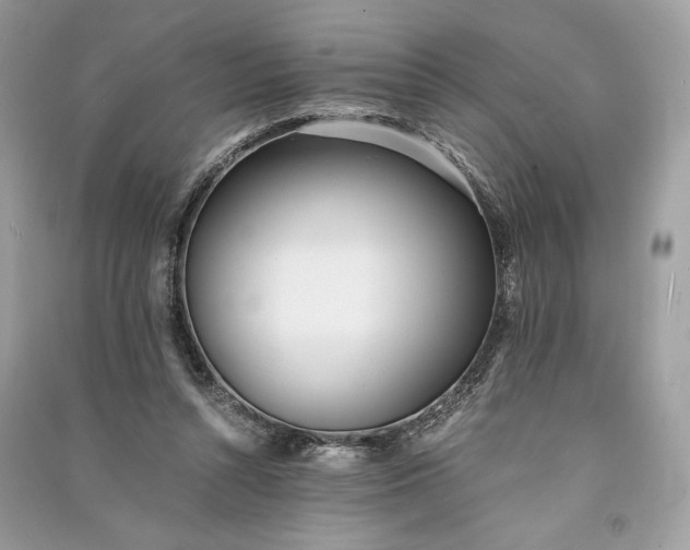 X0000090860352200708101224