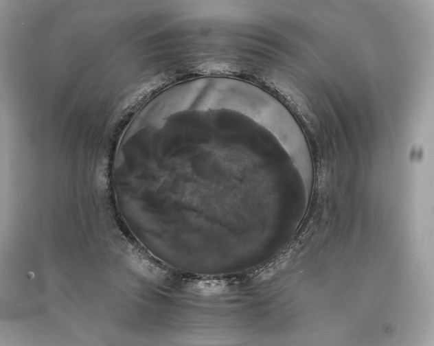 X0000090860353200708101224