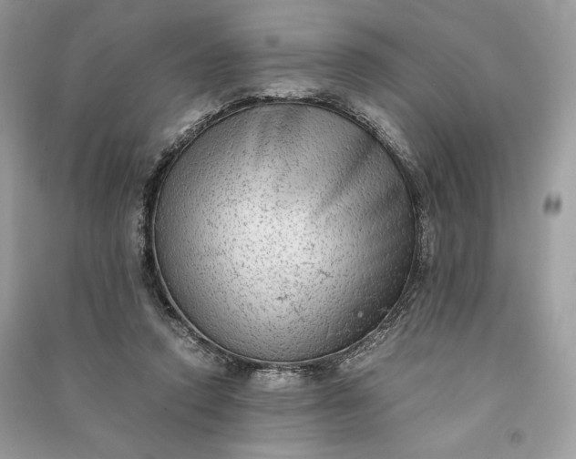 X0000090860354200708101224