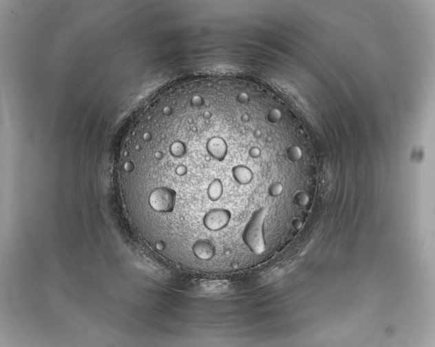 X0000090860355200708101224