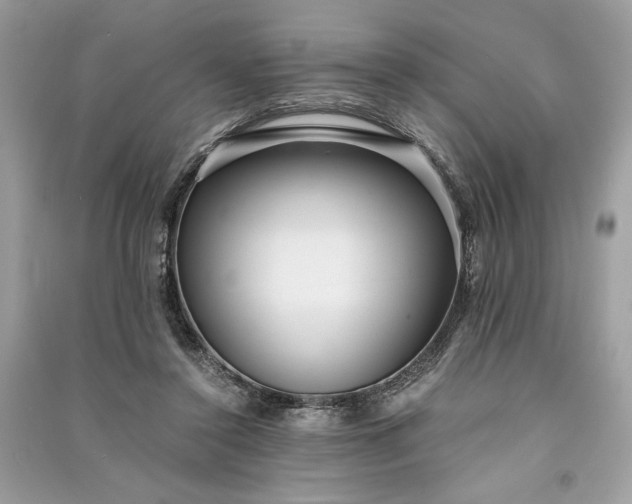 X0000090860356200708101224