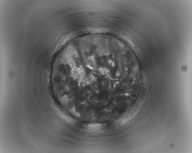 X0000090860357200708101224