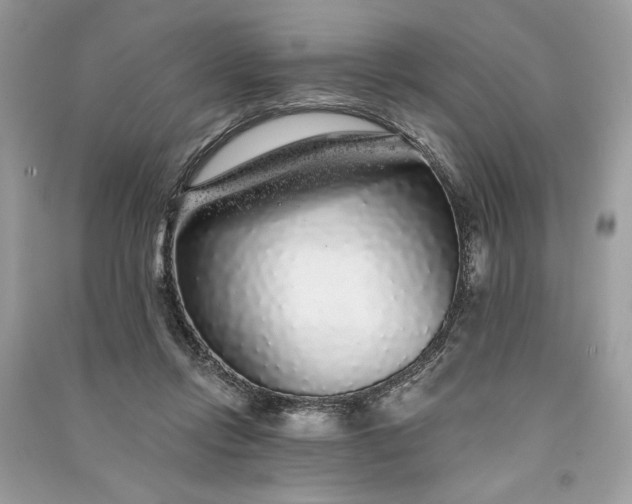 X0000090860358200708101224