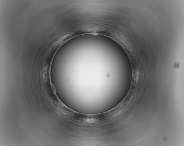 X0000090860360200708101224