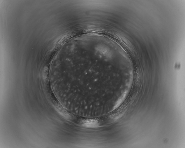 X0000090860361200708101224