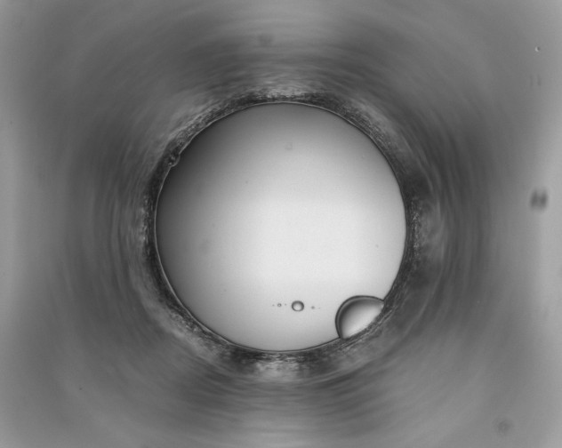 X0000090860362200708101224