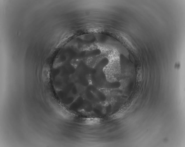 X0000090860363200708101224