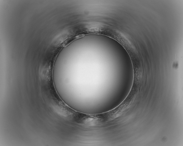 X0000090860364200708101224