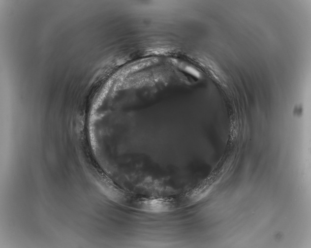 X0000090860365200708101224