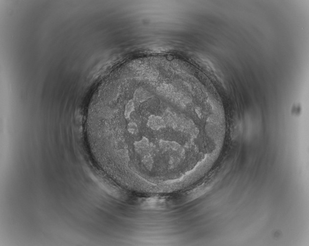 X0000090860366200708101224