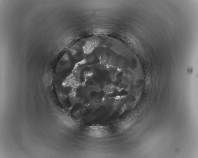 X0000090860367200708101224