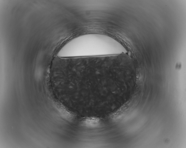 X0000090860369200708101224