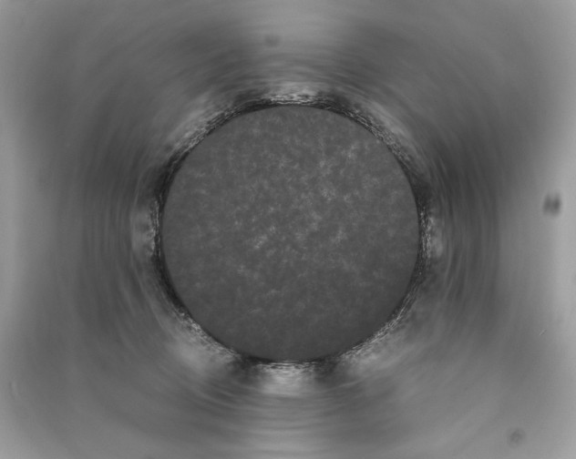 X0000090860370200708101224