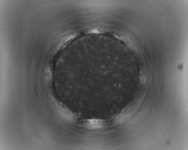 X0000090860371200708101224