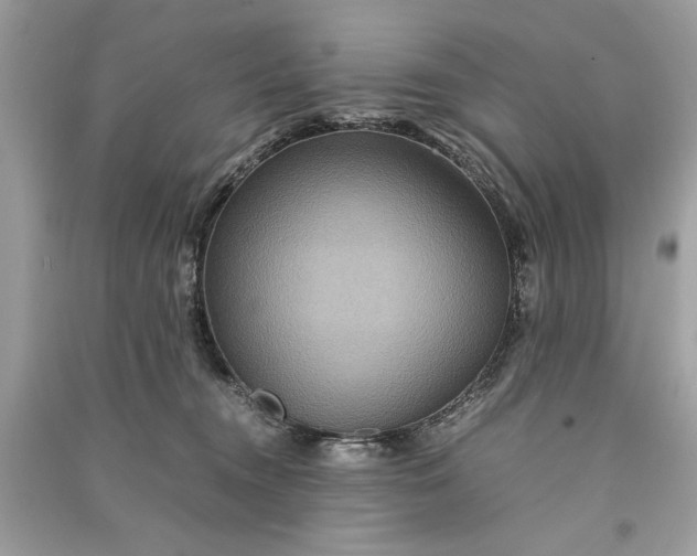 X0000090860372200708101224