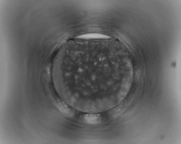 X0000090860373200708101224