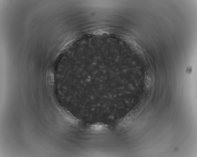 X0000090860375200708101224