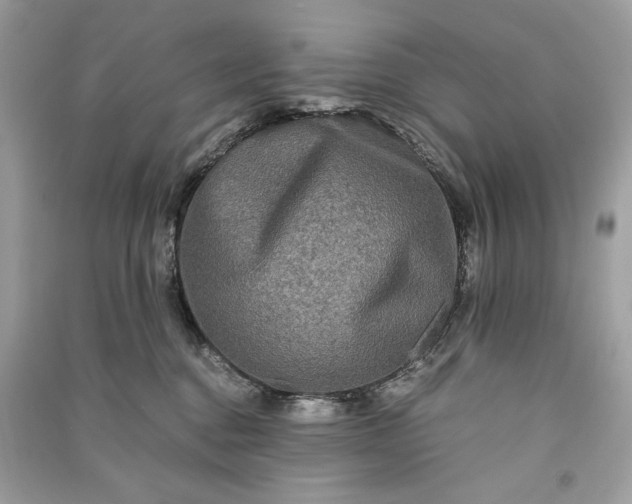 X0000090860376200708101224