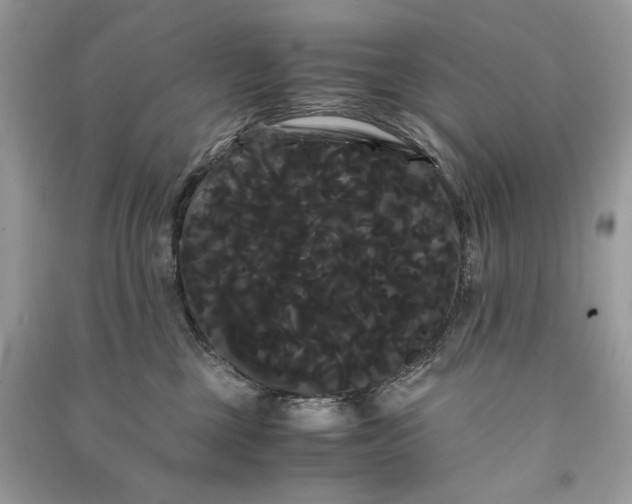 X0000090860377200708101224