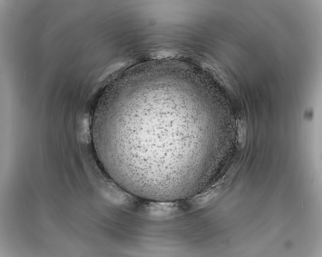 X0000090860378200708101224