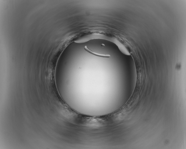 X0000090860379200708101224