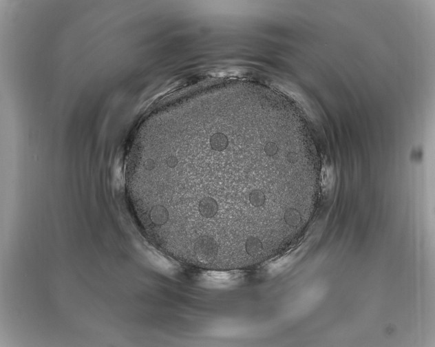 X0000090860381200708101224