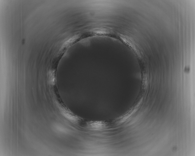 X0000090860383200708101224