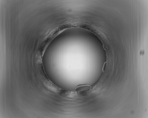 X0000090860384200708101224