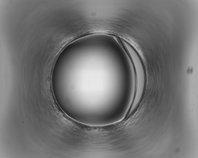 X0000090860385200708101224