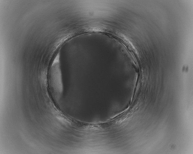 X0000090860386200708101224