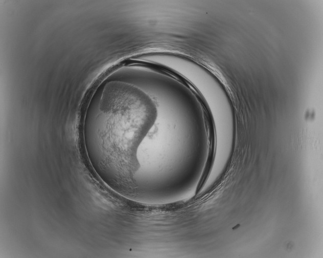 X0000090860387200708101224