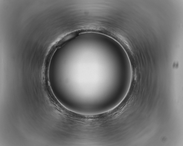 X0000090860388200708101224