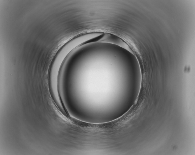 X0000090860389200708101223