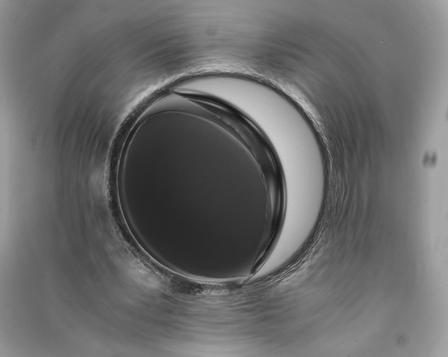 X0000090860391200708101223