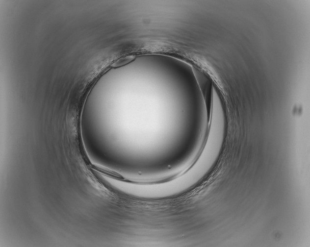 X0000090860393200708101223