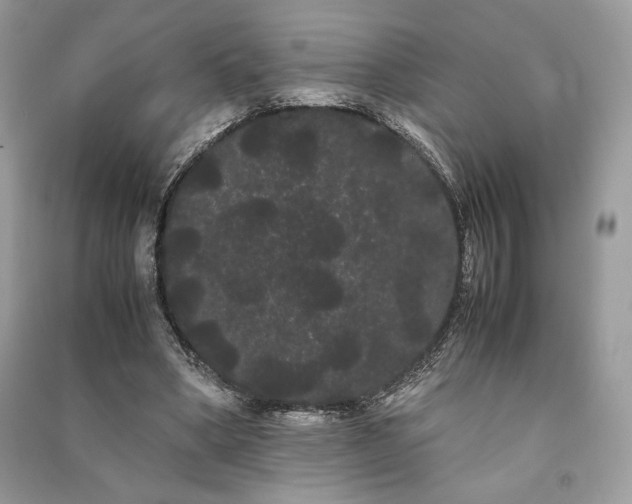 X0000090860394200708101223