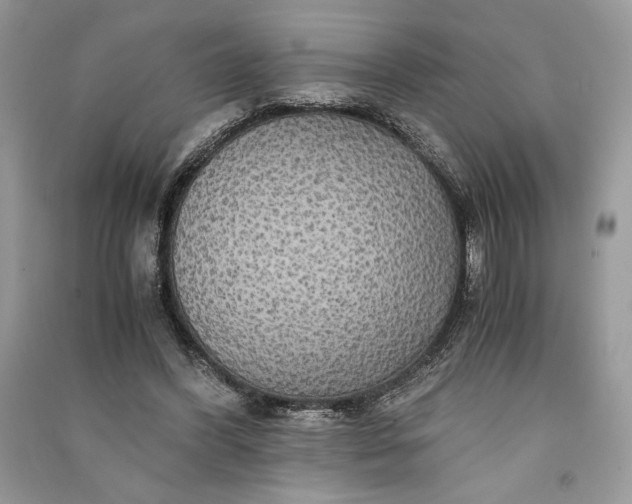 X0000090860396200708101223