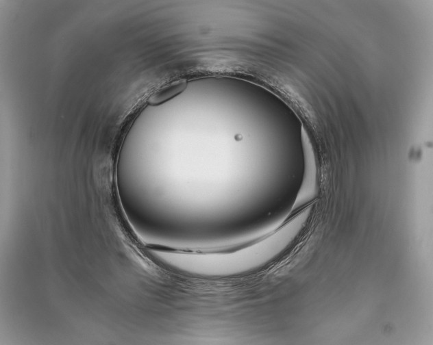 X0000090860397200708101223